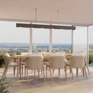 BEEM Pendant Light & Heater