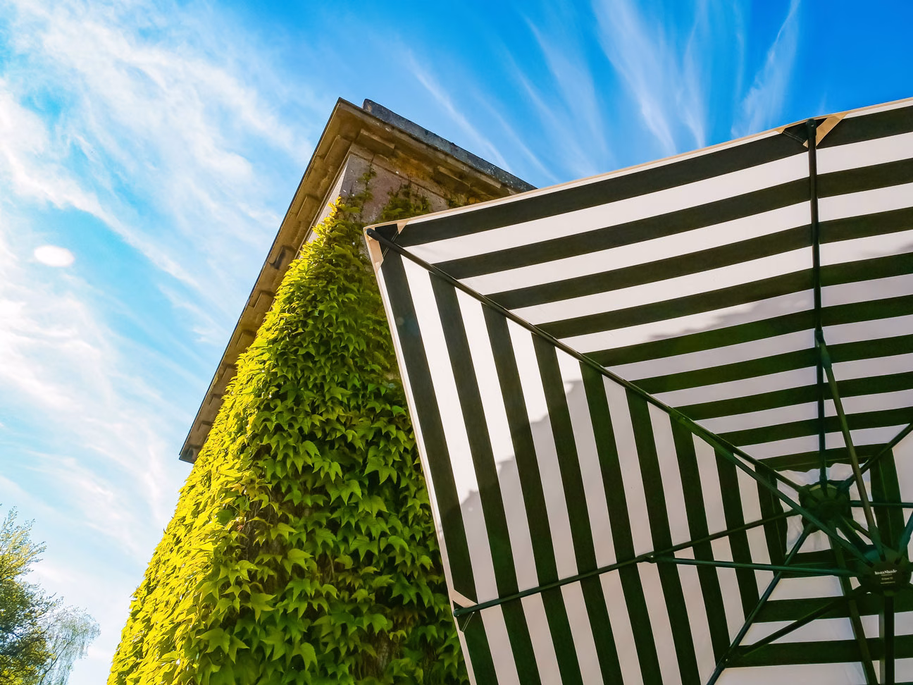 3m Square Cantilever Parasol - Eclipse